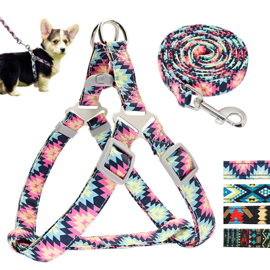 Adjustable Nylon Dog Harness and Leash Set for Small to Medium Dogs