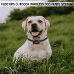 Outdoor GPS Wireless Electronic Dog Fence System  and Training Collar