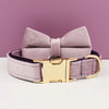 Bow Collar06 / XL