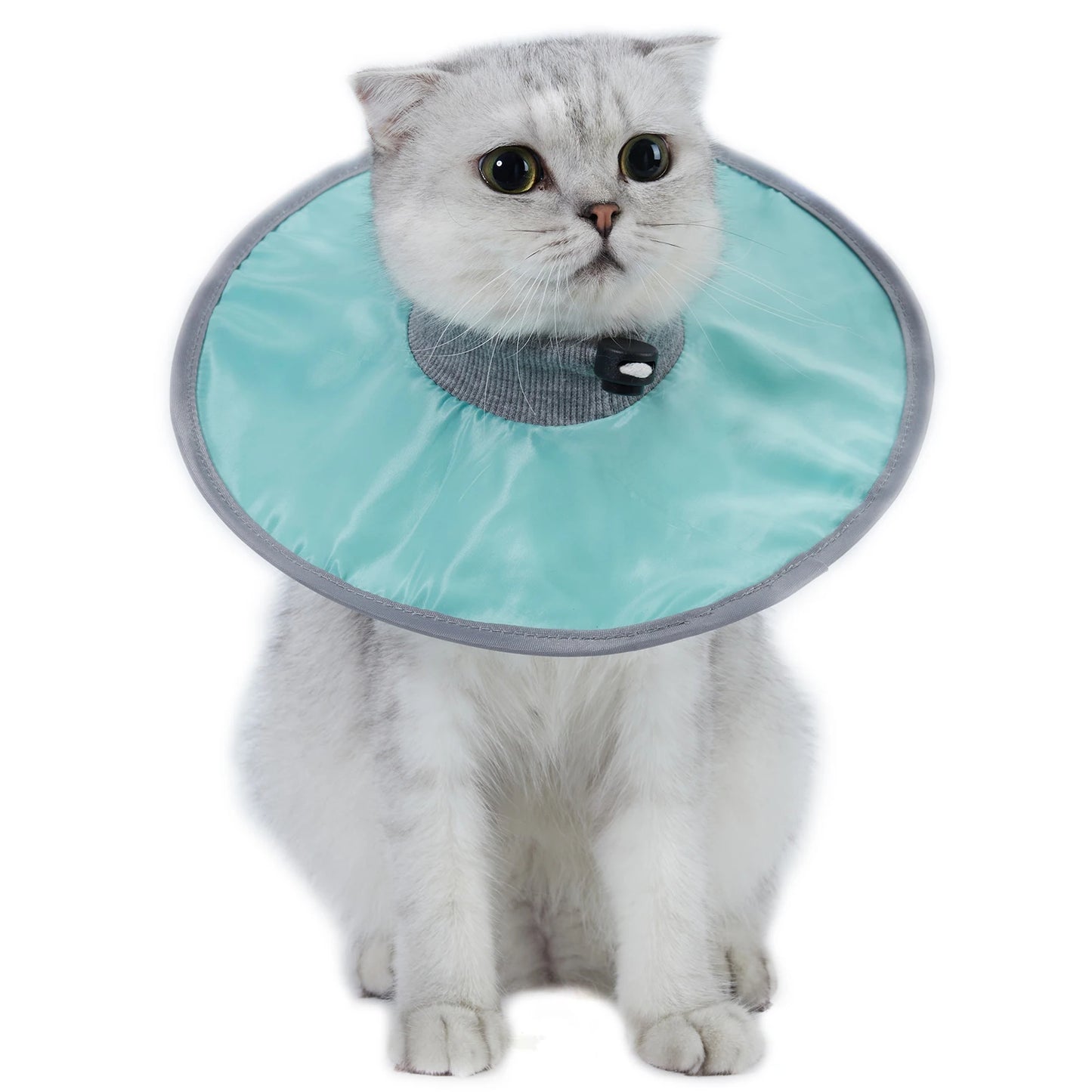 Pet Cat Protective Recovery Collar