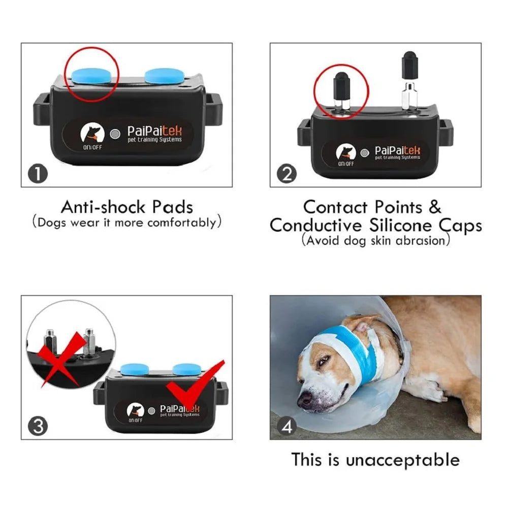 Shock Collar with Remote (PD 526-2)