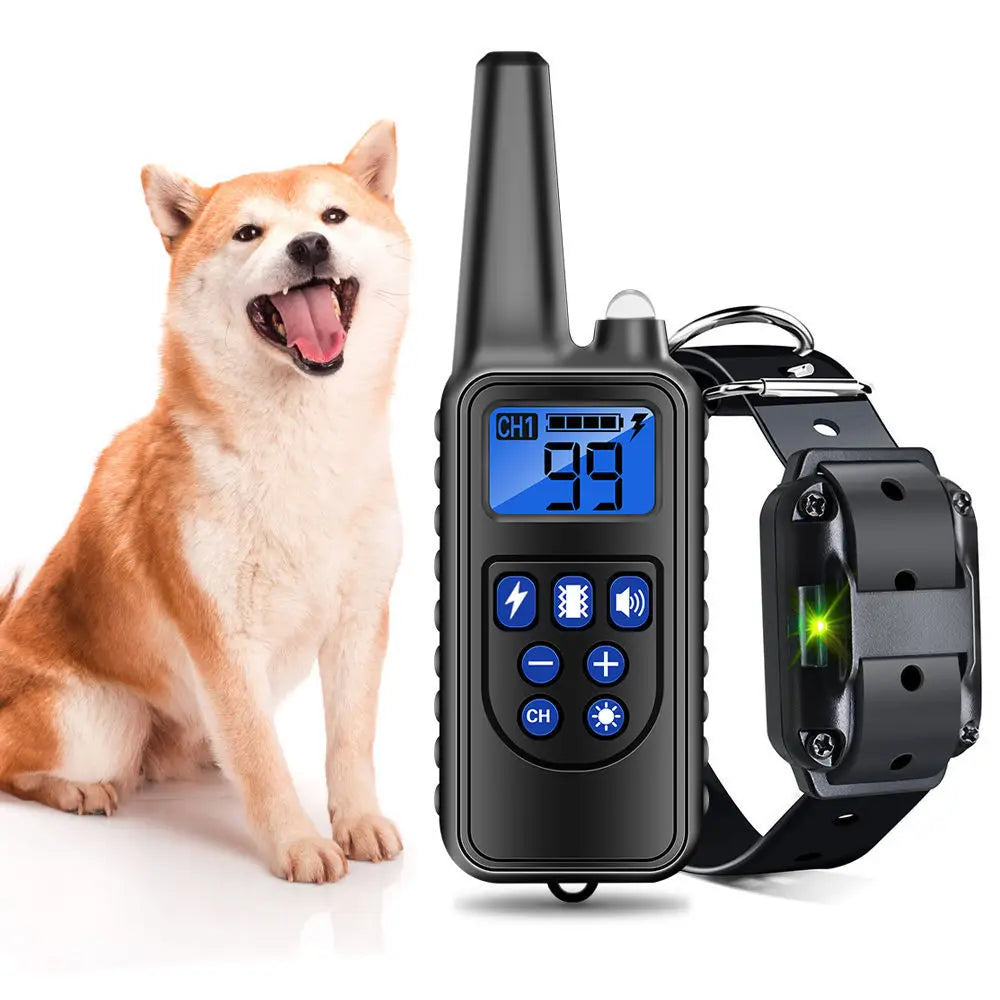 Electric Dog Training Device