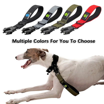 Nylon Military Style Short Leash with Metal Buckle