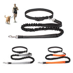 Hands-Free Dog Leash for Walking, Running, and Jogging