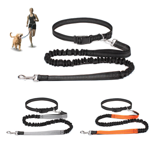 Hands-Free Dog Leash for Walking, Running, and Jogging