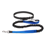 Hands-Free Dog Leash for Walking, Running, and Jogging