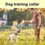 600M Electric Dog Training Collar 