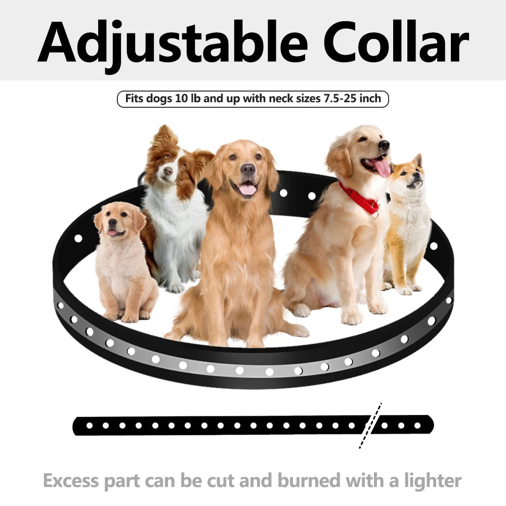 Replacement Adjustable Durable Waterproof Odourless Dog Collar Strap (3/4 Inch)