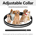 Replacement Adjustable Durable Waterproof Odourless Dog Collar Strap (3/4 Inch)