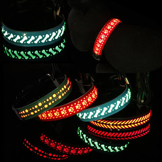 LED Dog Collar