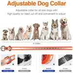 1000m Electric Dog Training Collar with Remote Control