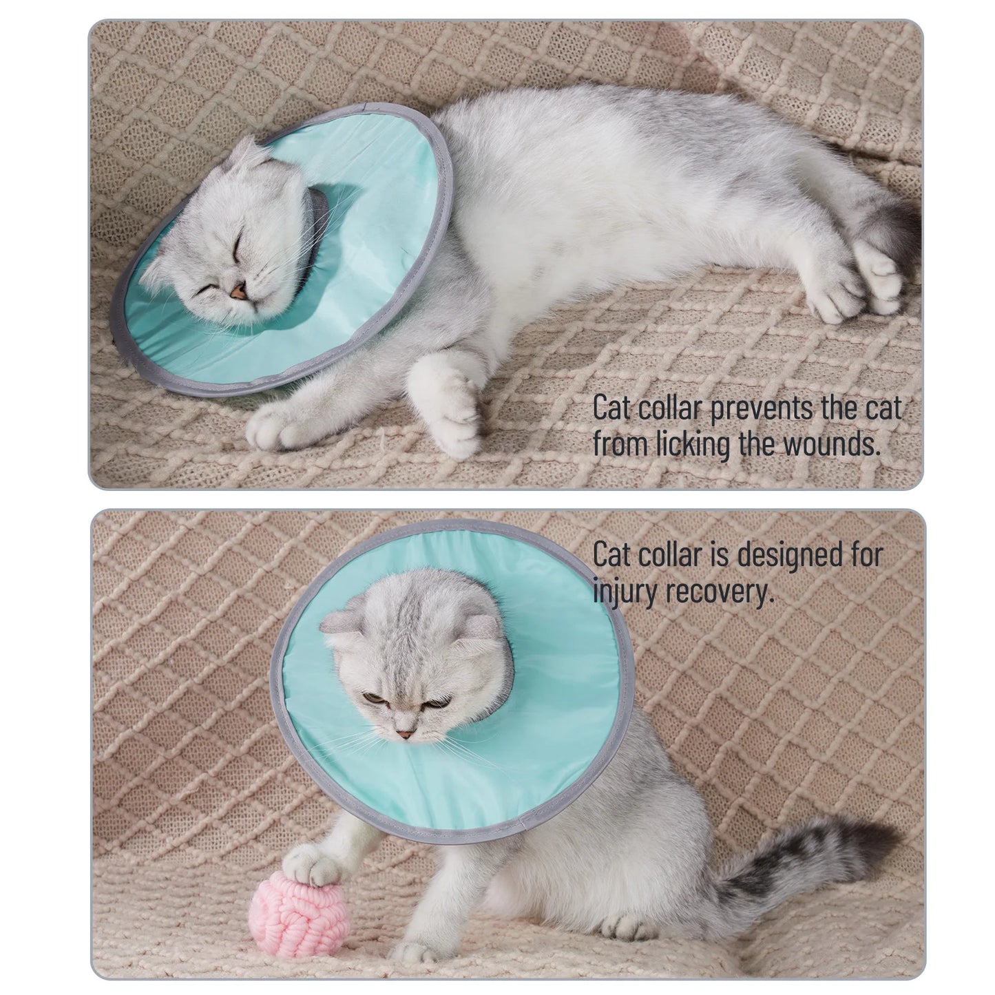 Pet Cat Protective Recovery Collar