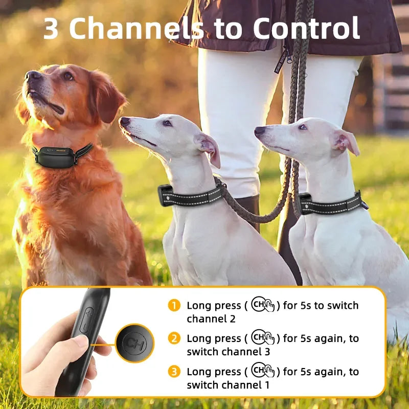 Electric Dog Training Collar Digital Rechargeable Remote Control