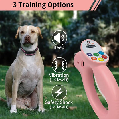 Dog Electric Training Collar With Smart Training Leash 1600ft