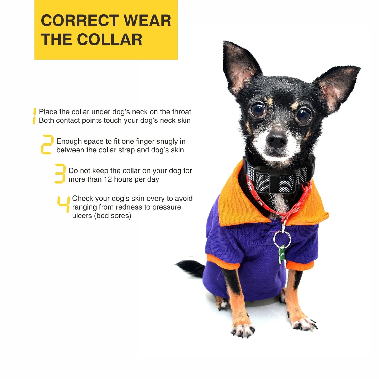 Rechargable Bark Training Dog Collar for Small Dogs (5-15lbs)