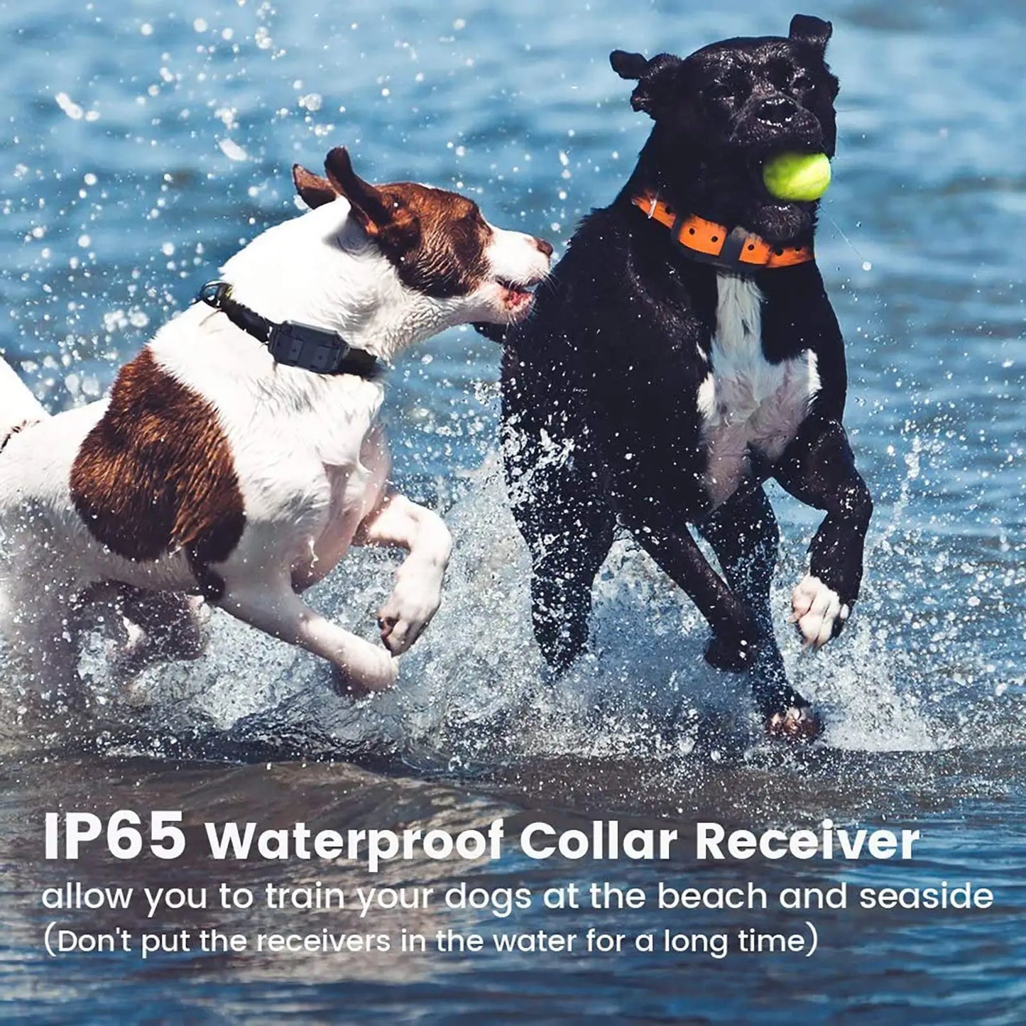 Waterproof Dog Training E-Collar 