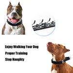Dog Training Prong Collar with Quick Release Buckle & Nylon Cover