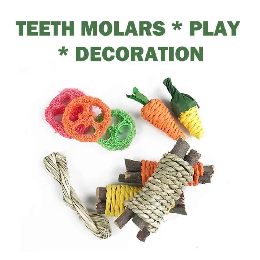 Pet Tooth Grinding Toy Snack Set