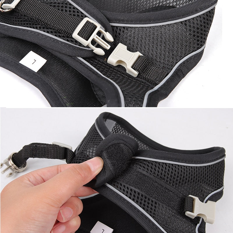 Adjustable Dog Harness and Leash Set for Pets