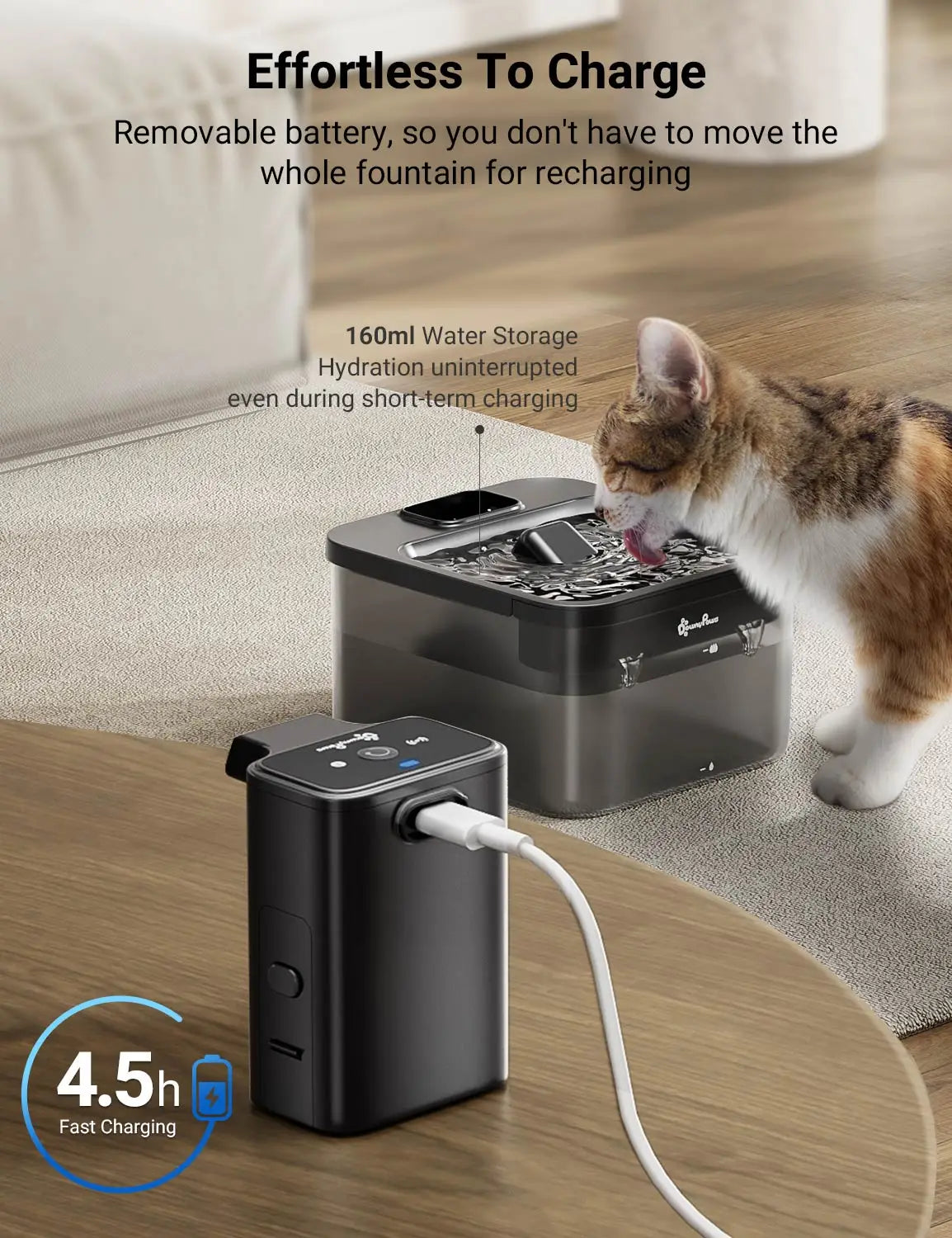 Battery-Operated Automatic Pet Water Dispenser with Motion Sensor