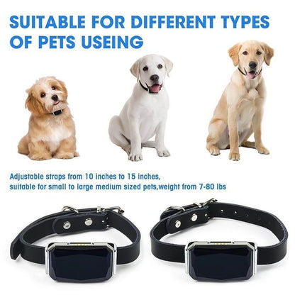 Pet GPS Locator Smart IP67 Waterproof Location Collar for Cats and Dogs