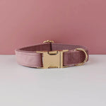 Luxury Personalised Dog Collar Set  (Optional Leash)