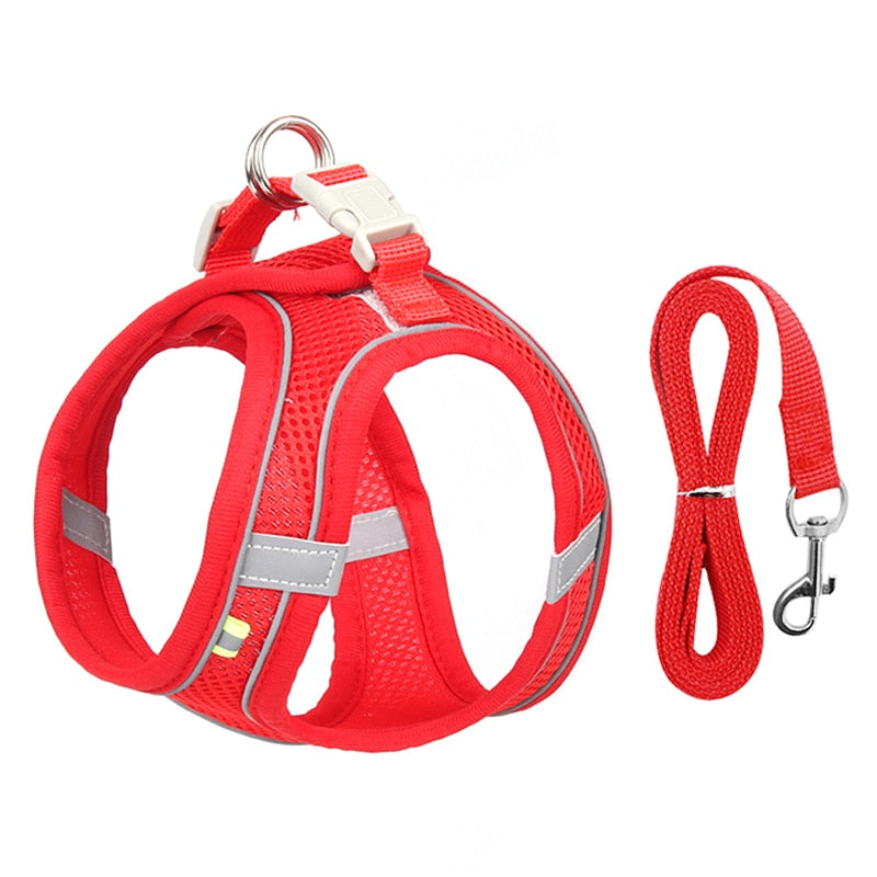 Adjustable Dog Harness and Leash Set for Pets