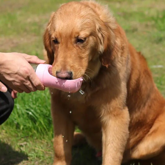 2-in-1 Portable Dog Water Bottle For Small and Large Dogs, Cats 