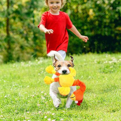 Screaming Chicken Sound Toy for Dog