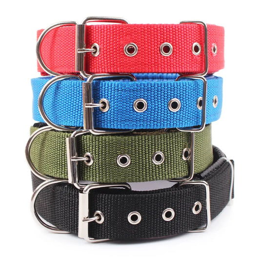 Nylon Dog Collars: Durable and Adjustable for Small, Medium, and Large Breeds