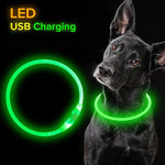 LED Dog Collar