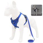 No Pull Dog Harness and Leash Set