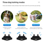 1000m Waterproof Dog Training Collar