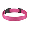 Pink Nylon Collar