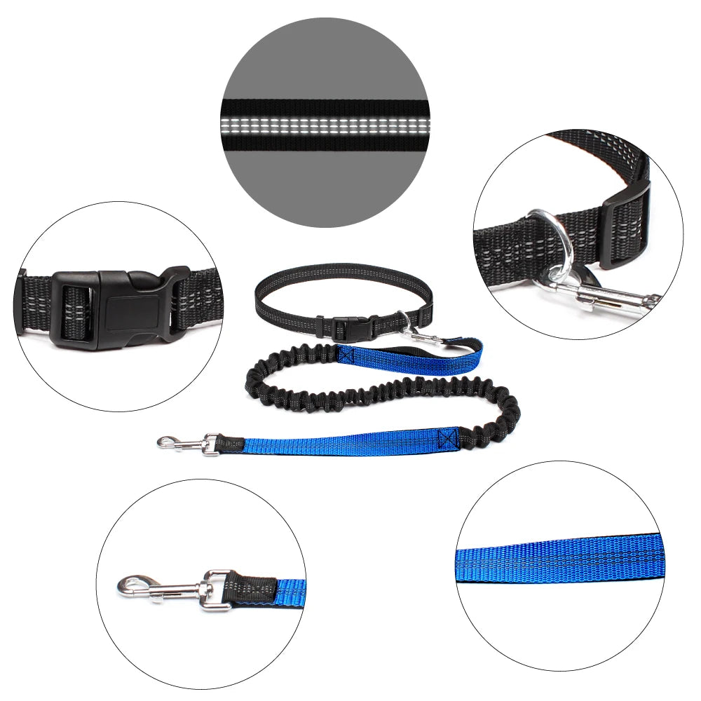 Hands-Free Dog Leash for Walking, Running, and Jogging