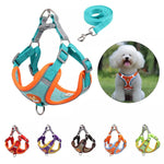 Adjustable No-Pull Pet Harness and Leash Set for Small to Medium Dogs and Cats