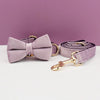 Bow Collar Leash06 / S