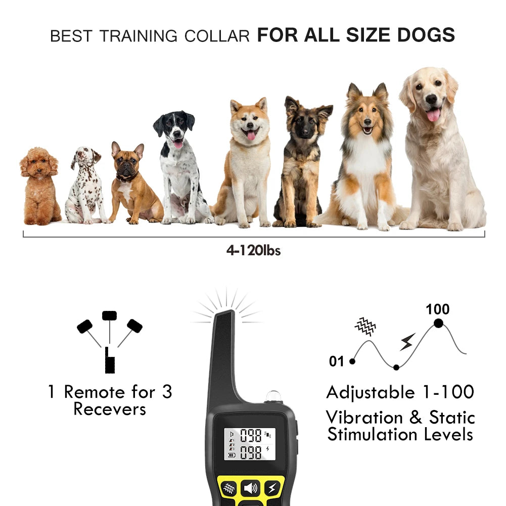 1000M Remote Dog Training Collar with Rechargeable Waterproof collar