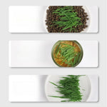 Soilless Cat Grass Growing Kit