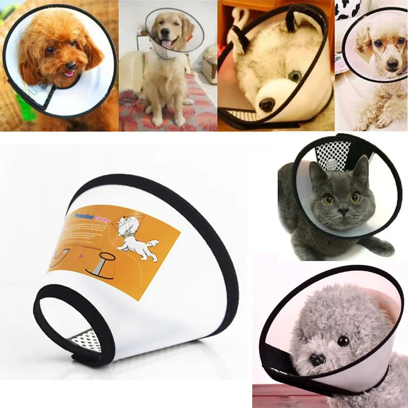 Transparent Protective Collar for Dogs and Cats