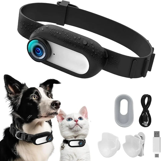 Cat and Dog Collar Camera with Video Recording