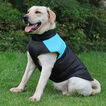Waterproof Padded Dog Vest