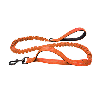 Heavy Duty Reflective Dog Leash