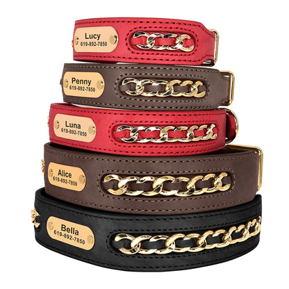 Custom Leather Dog Collar