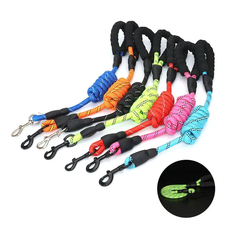 Reflective and Padded Handle Pet Leash for Small, Medium, and Large Dogs