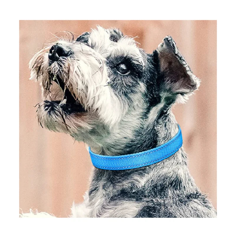 Dog Training Device Replacement Collar 