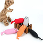 Rustle Sound Catnip Toy