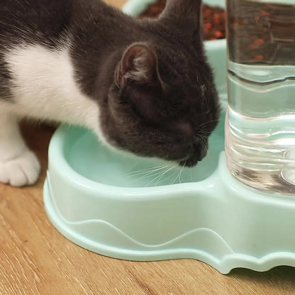 Automatic Pet Feeder and Drinking Bowl Combo with Large Capacity Grain Storage Bucket