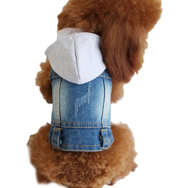 Denim Dog Jacket