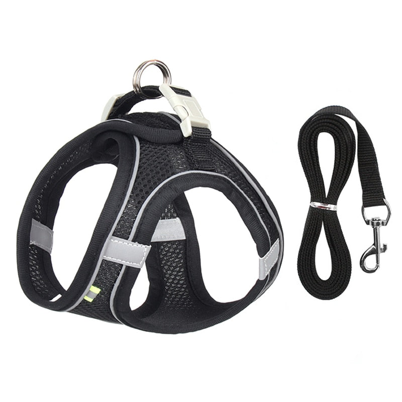 Adjustable Dog Harness and Leash Set for Pets